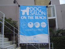 DOG SALON ON THE BEACH.jpg
